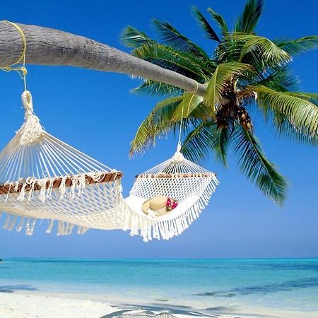 Affordable Two Bedroom Tropical Condo - Private Beach, Pools, Hot Tub St. Petersburg Luaran gambar