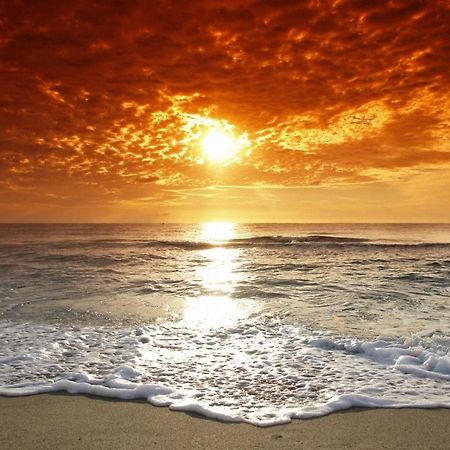 Affordable Two Bedroom Tropical Condo - Private Beach, Pools, Hot Tub St. Petersburg Luaran gambar