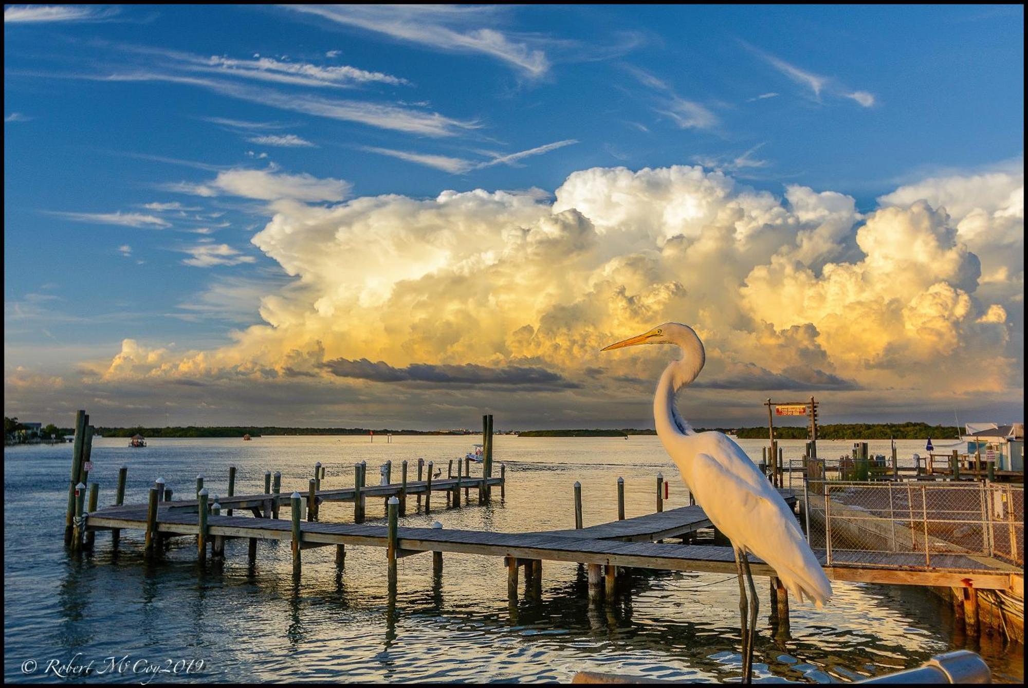 Affordable Two Bedroom Tropical Condo - Private Beach, Pools, Hot Tub St. Petersburg Luaran gambar